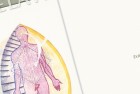 Livre Révélations – Ah-Kin